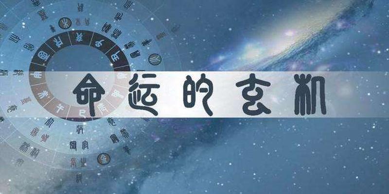 预测板块
