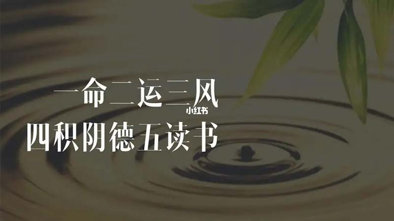 非读书