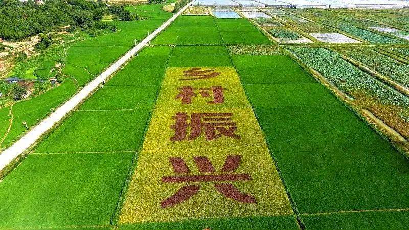 乡村振兴